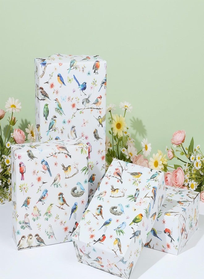 Pineraap Birds Wrapping Paper Roll - Colorful Floral Watercolor Bird Theme Gift Wrap for Birthday, Wedding, Party Decor, 17Inch x16.4Feet - Image 4